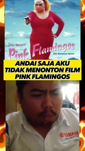 Andai saja aku tidak nonton pink flamingos #film #misteri #horror #reaction смотреть онлайн