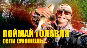 Поймай голавля! Если сможешь...