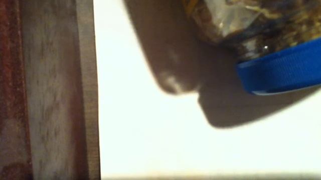 My Texas map turtles смотреть онлайн