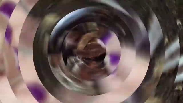 Some of our isopods смотреть онлайн