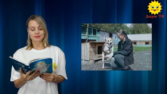 Сериал: "Муха" Серия 1 смотреть онлайн
