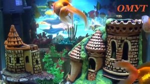 175.Ответы на Ваши вопросы с инстаграм - 3 часть...