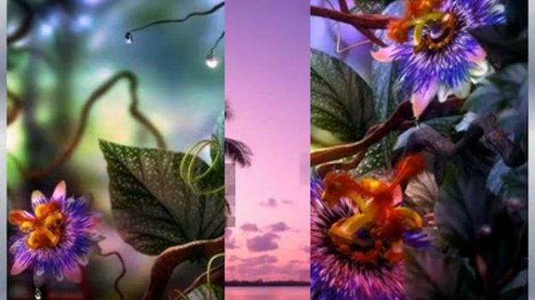 Ben de Jong - Lieve Papa [music by the musical cats , memories]