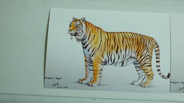 Original Big Cats watercolor paintings and prints - Lion , Tiger , Jaguar , Leopard , Puma . смотреть онлайн