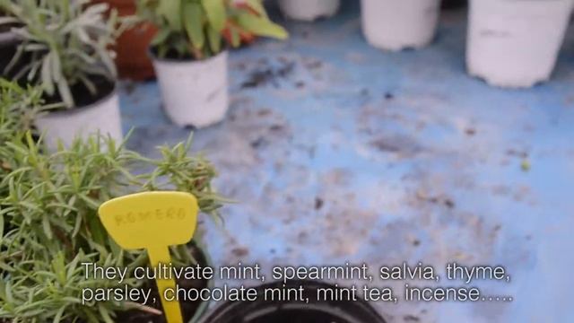 Iter, the Corporative Social Responsability of AZUD смотреть онлайн