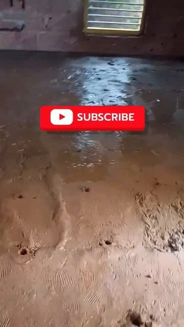Termite control treatment #shortsfeed #shortviral #construction #youtubeshorts #short #pestcontrol смотреть онлайн