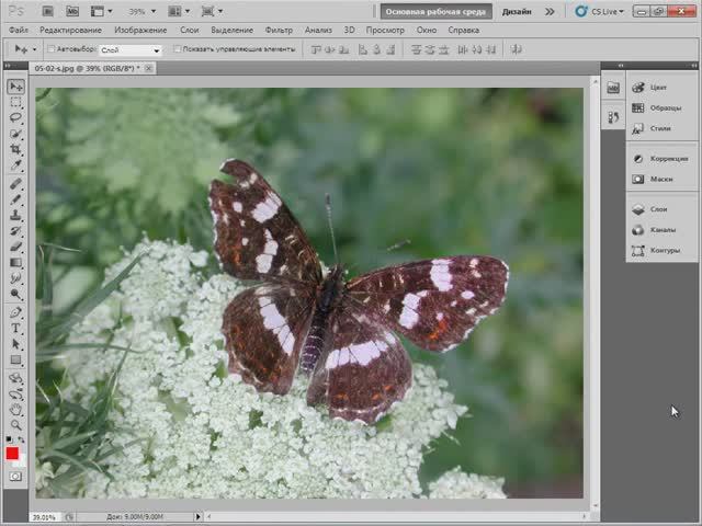 Инструмент Заплатка для восстановления в Фотошоп. Уроки Фотошоп - Adobe Photoshop