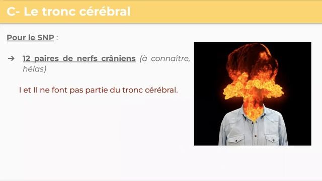 Pré-rentrée LAS 1 2022 : Appareil de l'innervation 🧠 смотреть онлайн