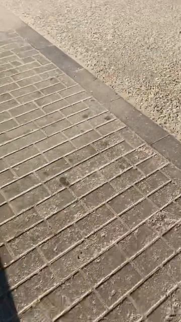 Пики на колесных гайках? Зачем? #Газель бизнес смотреть онлайн