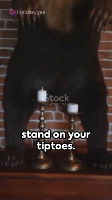 How to Survive a Bear Attack (2024) смотреть онлайн