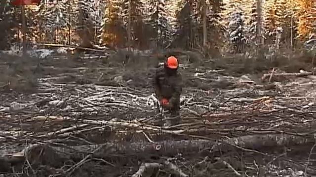 Право знать 5.02.2014 смотреть онлайн