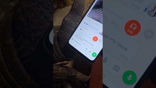 фанатка заставила ослепнунь мажора🤣🤣🤣 смотреть онлайн