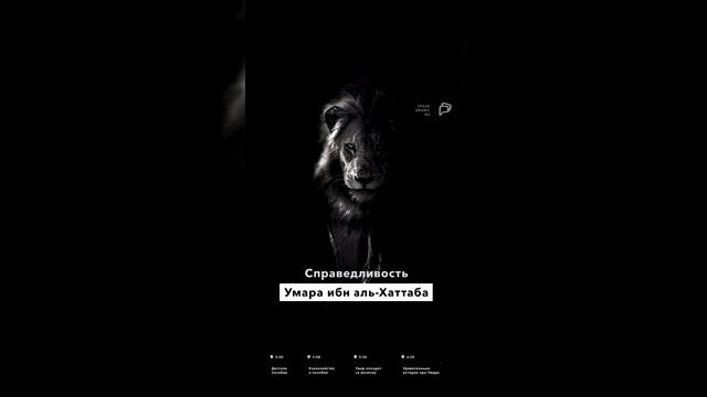 Справедливость Умара ибн аль-Хаттаба смотреть онлайн