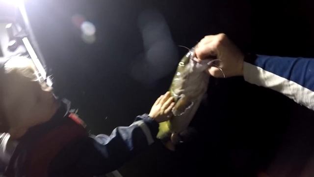 Catching BIG catfish with little kids - catfish pees on Tommy - Catfishing tips. смотреть онлайн