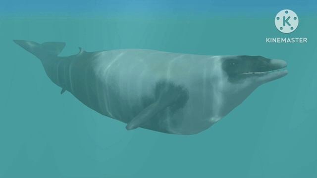 Perucetus Colossus  Sound Effects