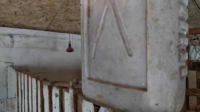 Мухи...Наболевший вопрос... смотреть онлайн