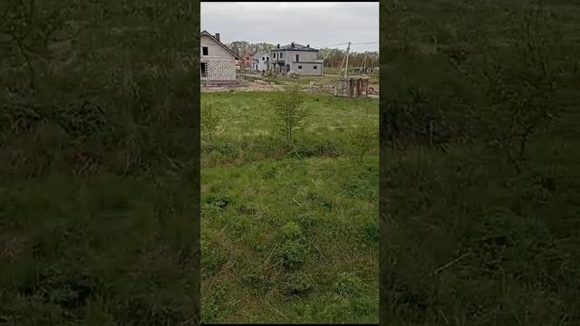 document_5276109156946832503 смотреть онлайн