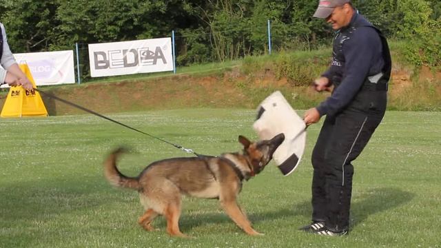 Figurant: Vit Glisnik смотреть онлайн