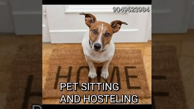 Pet(Dog & Cat) Grooming, Hair Cutting, Nail Cutting, Funeral, Cemetery смотреть онлайн