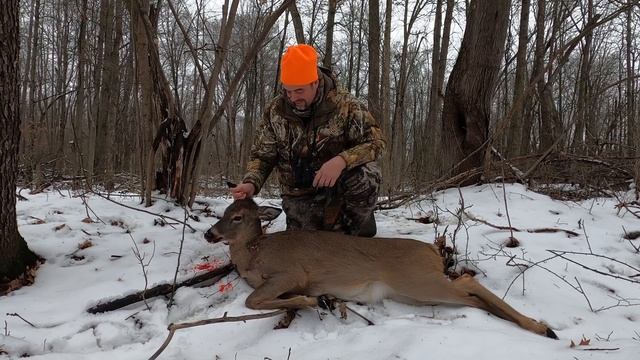 2022 New Year's Deer hunting success in Michigan ! смотреть онлайн