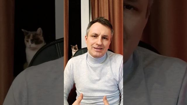 Не нужно пробовать корм своей кошки смотреть онлайн