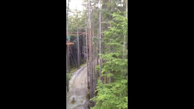 Ziplining Grizzly Falls in Skagway Alaska смотреть онлайн
