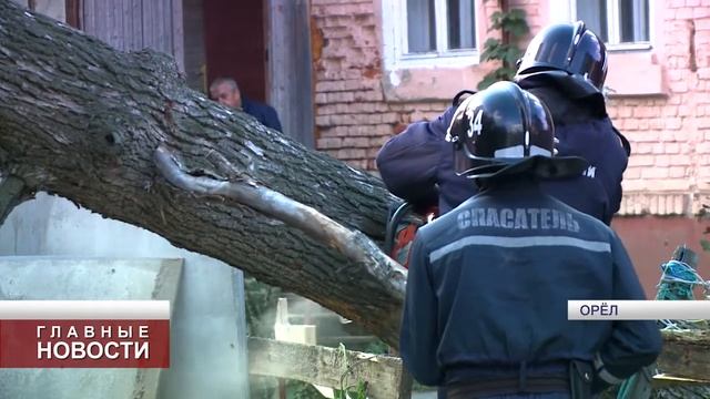 Упавшее дерево перекрыло вход на одно из предприятий Орла смотреть онлайн