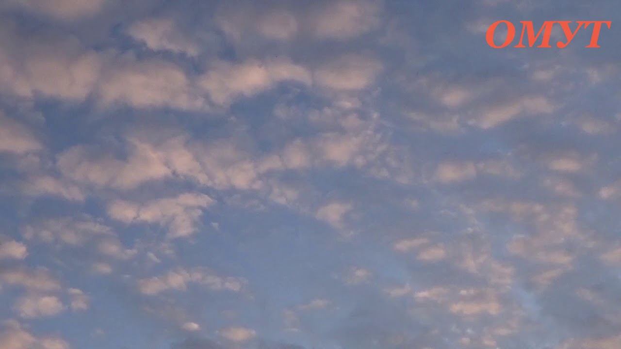 290. ДОСТОЙНЫЙ КОММЕНТ ЗАБЕРЕМЕНЕТЬ и НЕ ТОЛЬКО... смотреть онлайн