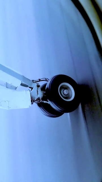 Glimpse of Katmai national park, Alaska, USA #shorts #america #alaska #telugu #india #hyderabad смотреть онлайн