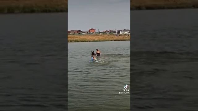 первое купание сына верхом смотреть онлайн