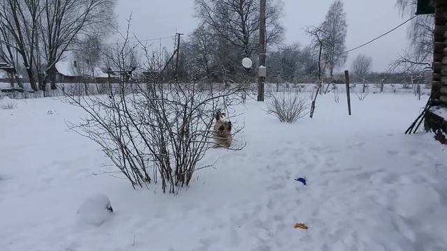 Пушкин смотреть онлайн