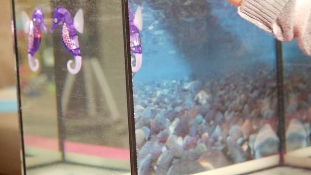 HEXBUG AQUABOT 2.0 FISH РОБОТИЗИРОВАННАЯ РЫБА смотреть онлайн