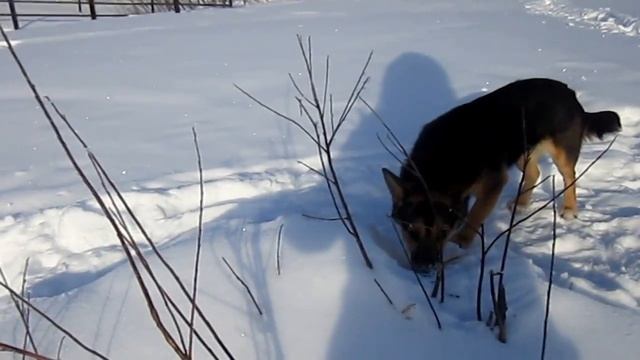 Зима..зима смотреть онлайн