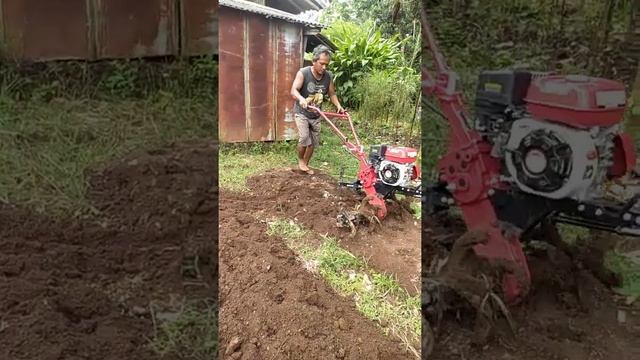 Proses penggemburan lahan hanya dalam waktu 2 menit menggunakan traktor mini kultivator paling muda смотреть онлайн