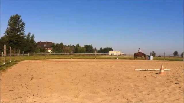 bye bye Giraffen-Style-Gang !!!! смотреть онлайн