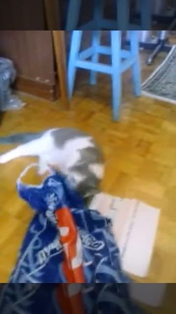 Я так хочу мужика! смотреть онлайн