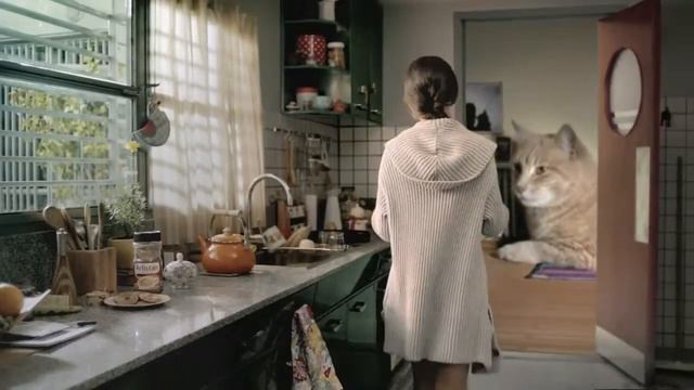 Le gató - Arlistan смотреть онлайн