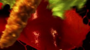 Музыка из рекламы KFC - i-Twister (Россия) (2013)