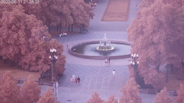 Нелегкая это работа - из болота тащить бегемота. смотреть онлайн