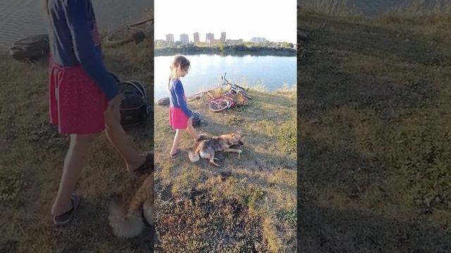 На берегу с собакой смотреть онлайн