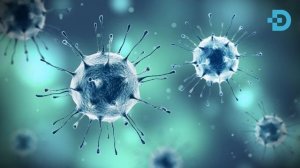 КАЛАМПИРМУНЧОҚНИНГ ОРГАНИЗМГА 5 ТА ФОЙДАСИ