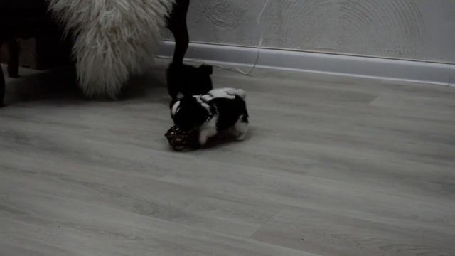 DSC 1920 смотреть онлайн