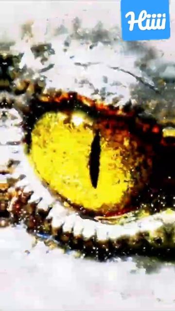 What do you know | Mashup of the day #lion #crocodile #tiger #shark смотреть онлайн