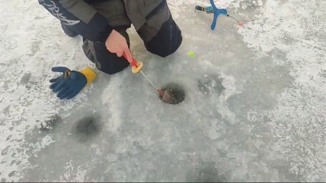 WhatsApp Video 2025-02-07 at 10.26.40 смотреть онлайн