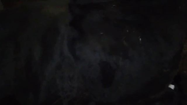 Второй телёнок???Тёлочка или бычок ??? Кромлениее... смотреть онлайн
