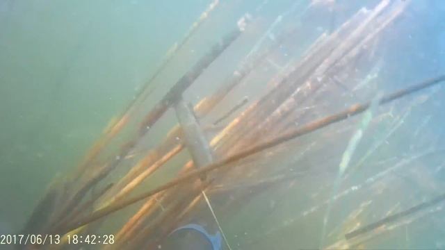Карп 9кг подводная охота смотреть онлайн