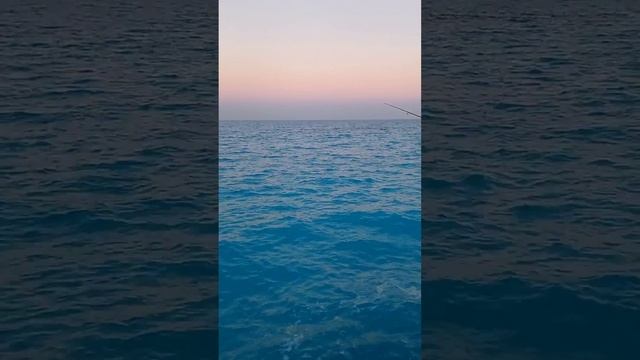 9 января 2024 г. смотреть онлайн