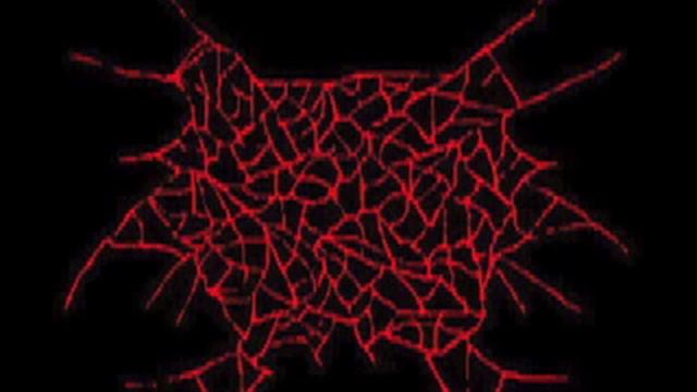 Whore Torture- Cunt Cut Out смотреть онлайн