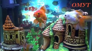 187. Заговор - молитва о сохранении сына. И Ваши комменты.