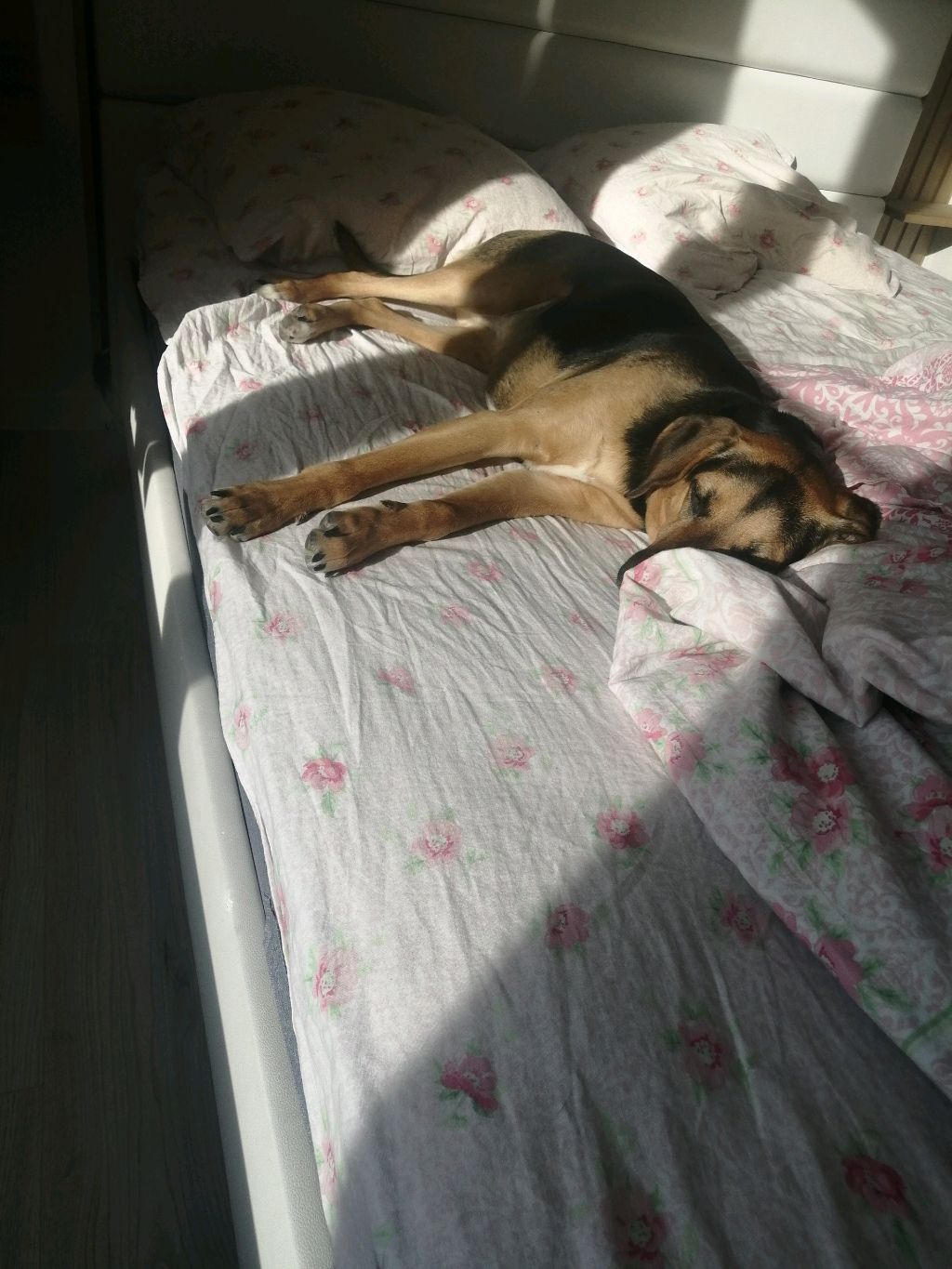 Разнообразный Стрим сам не планировал смотреть онлайн